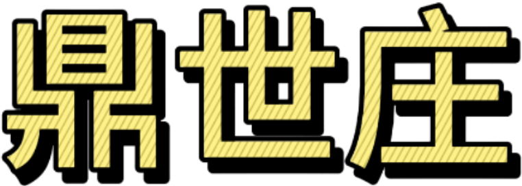 贵州鼎世庄科技有限公司